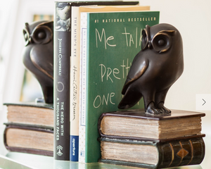 Owls on Books Bookends