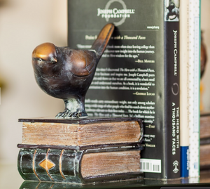 Birds on Books Bookends